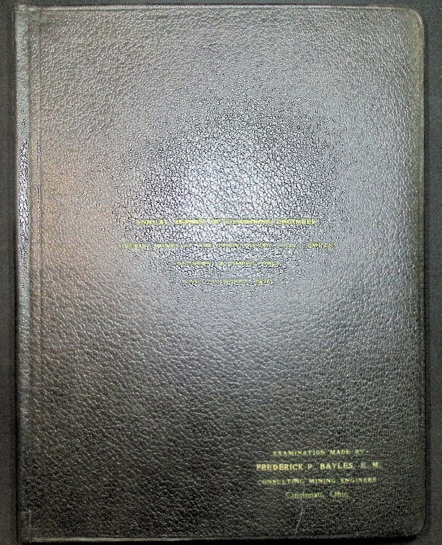 1-0021 Examining Engineer Report.pdf