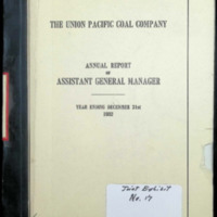 1-0111 Annual Report of Assistant General Manage.pdf