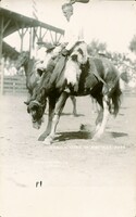 89-28-48-C web.jpg