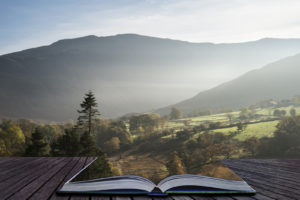 Our book groups