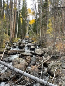 download map of recommended area hikes